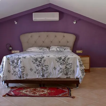Daire 48 Pinara